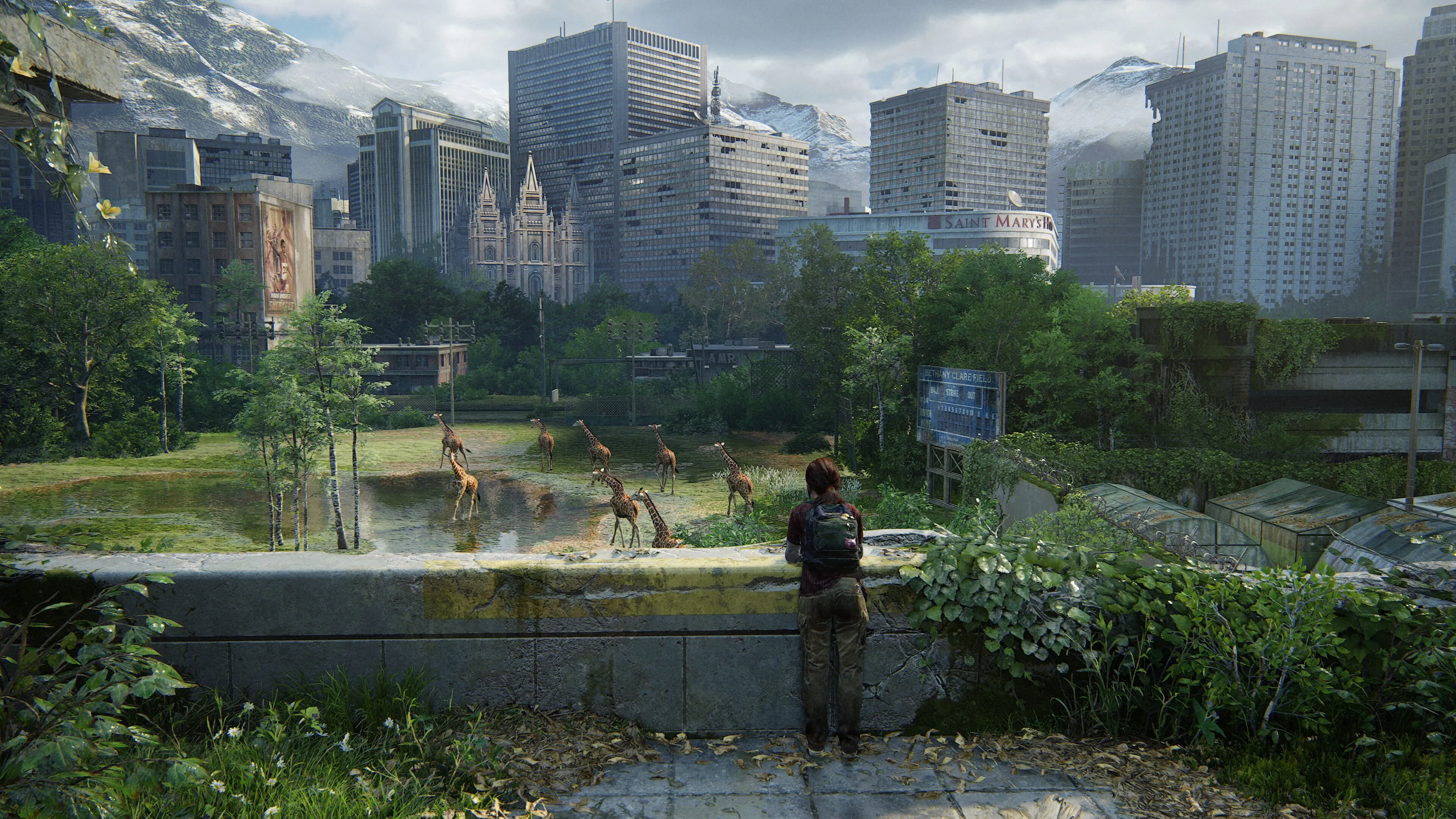 Cảnh Ellie ngắm đàn hươu cao cổ trong The Last of Us: Part 1, tượng trưng cho đồ họa nâng cấp.