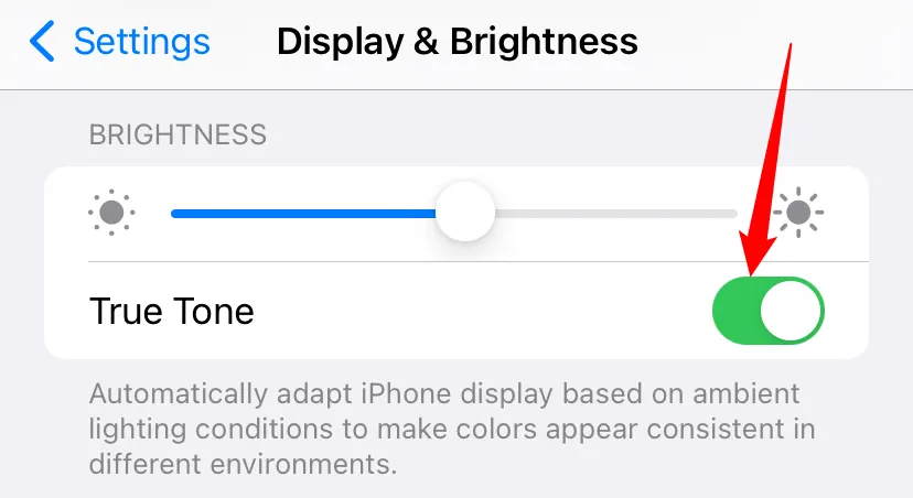 Công tắc tính năng True Tone trong cài đặt màn hình của iPhone