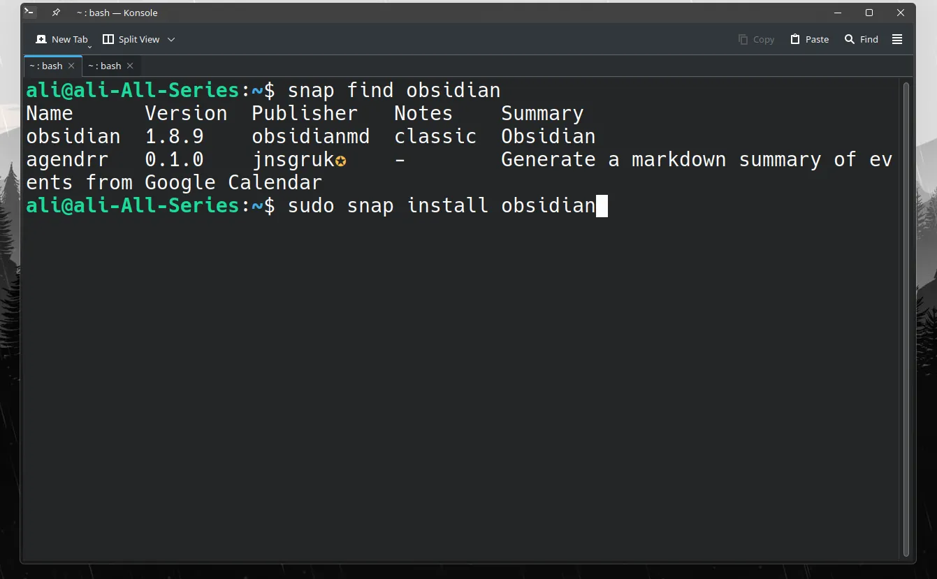 Cửa sổ Terminal Linux hiển thị quá trình cài đặt ứng dụng Obsidian bằng lệnh Snap, minh họa phương pháp cài đặt phổ biến.