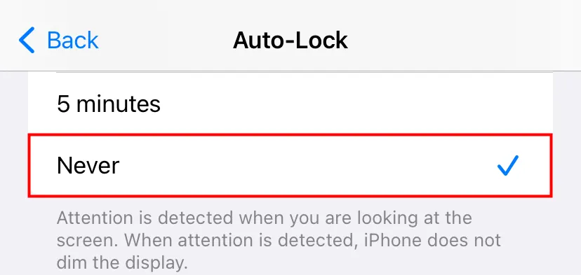 Menu tùy chọn thời gian Tự động khóa (Auto-Lock) màn hình iPhone, bao gồm tùy chọn &quot;Không&quot;