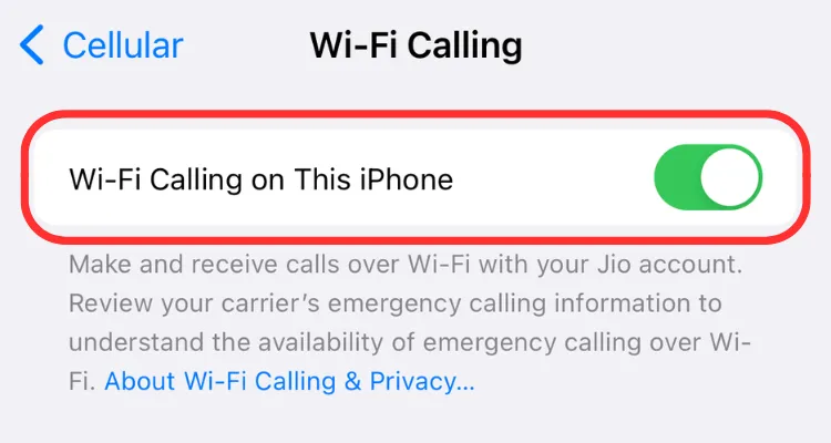 Ảnh chụp màn hình của nút bật/tắt Wi-Fi Calling trên iPhone, minh họa cách kích hoạt tính năng.
