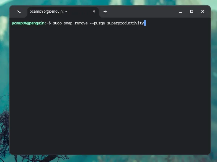 Giao diện terminal Linux trên Chromebook minh họa lệnh sudo snap remove để gỡ bỏ ứng dụng Snap.