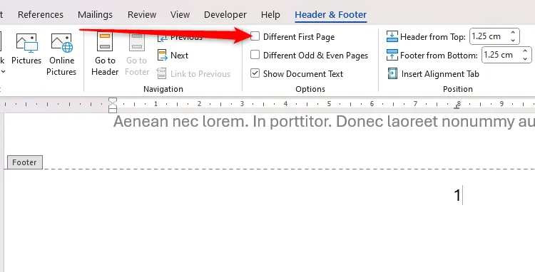 Hộp kiểm Different First Page được đánh dấu trong Microsoft Word, cho phép tùy chỉnh trang đầu