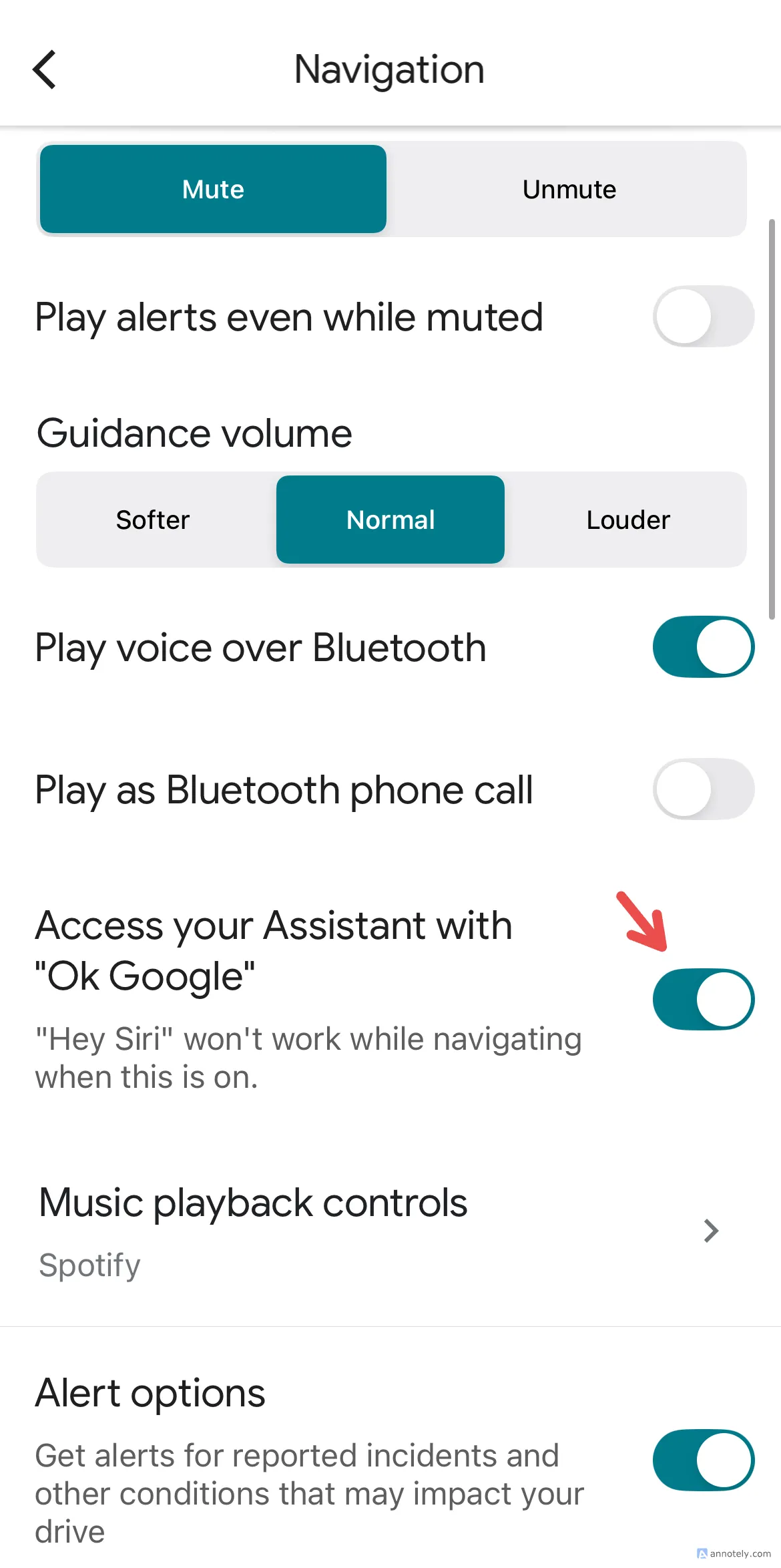 Hướng dẫn bật lệnh thoại Google Assistant trong Google Maps trên iPhone