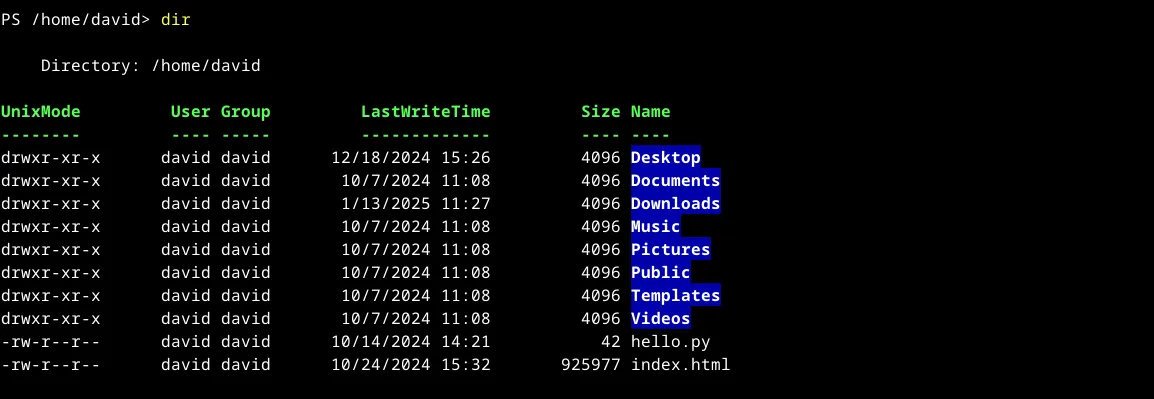 Kết quả đầu ra của lệnh 'dir' trong PowerShell trên Linux