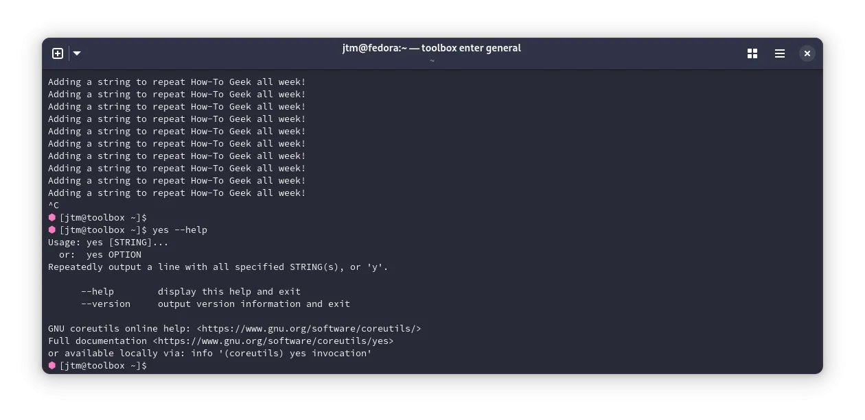 Kết quả từ lệnh yes trong terminal Linux.