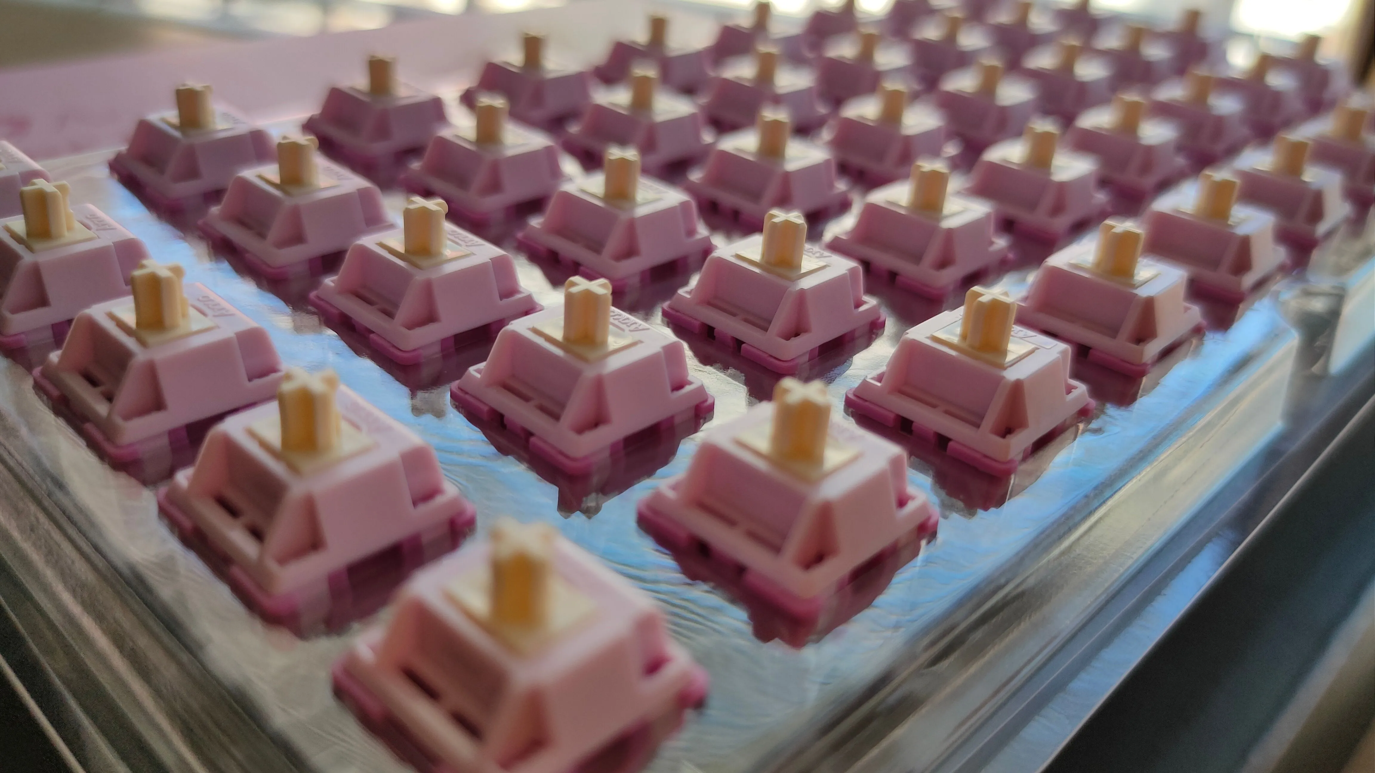 Khay chứa các switch Akko V3 Creamy Purple Pro, một lựa chọn tactile phổ biến