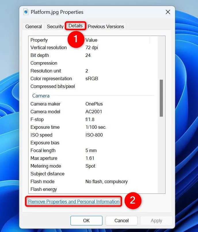 Liên kết &quot;Remove Properties and Personal Information&quot; trong tab Details của Properties ảnh