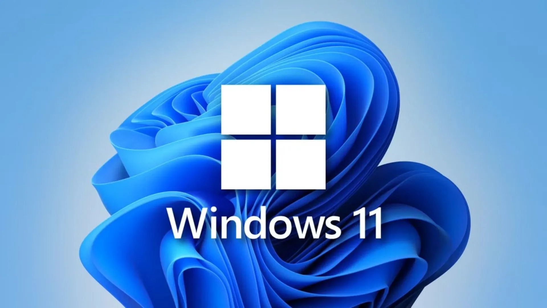 Logo Windows 11