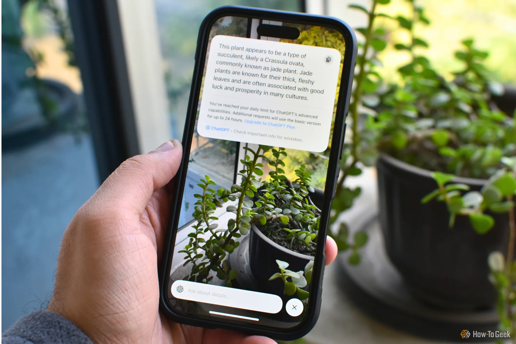 Màn hình iPhone 16 hiển thị tính năng Visual Intelligence đang hoạt động, cho phép người dùng phân tích hình ảnh và tìm kiếm thông tin với sự hỗ trợ của Camera Control.