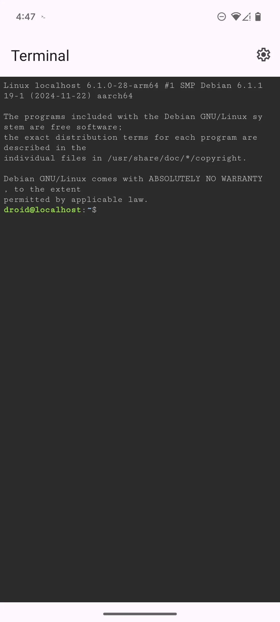 Màn hình trống của cửa sổ lệnh bash trong ứng dụng Linux Terminal trên Google Pixel 6.