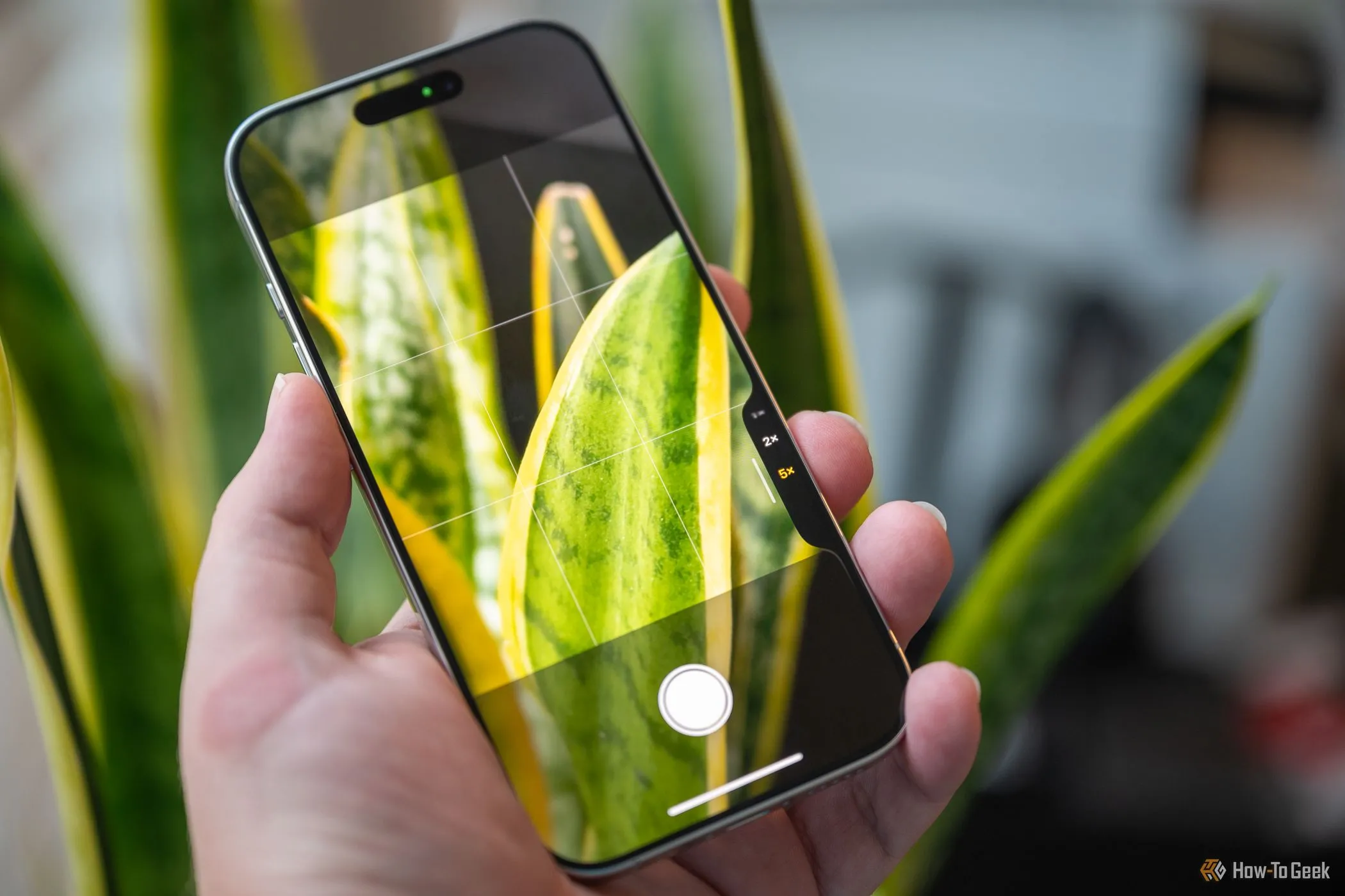 Người dùng cầm iPhone 16 Pro theo chiều dọc, ngón tay cái đặt lên nút Camera Control để chụp ảnh, thể hiện thao tác chụp ảnh di động tiện lợi.