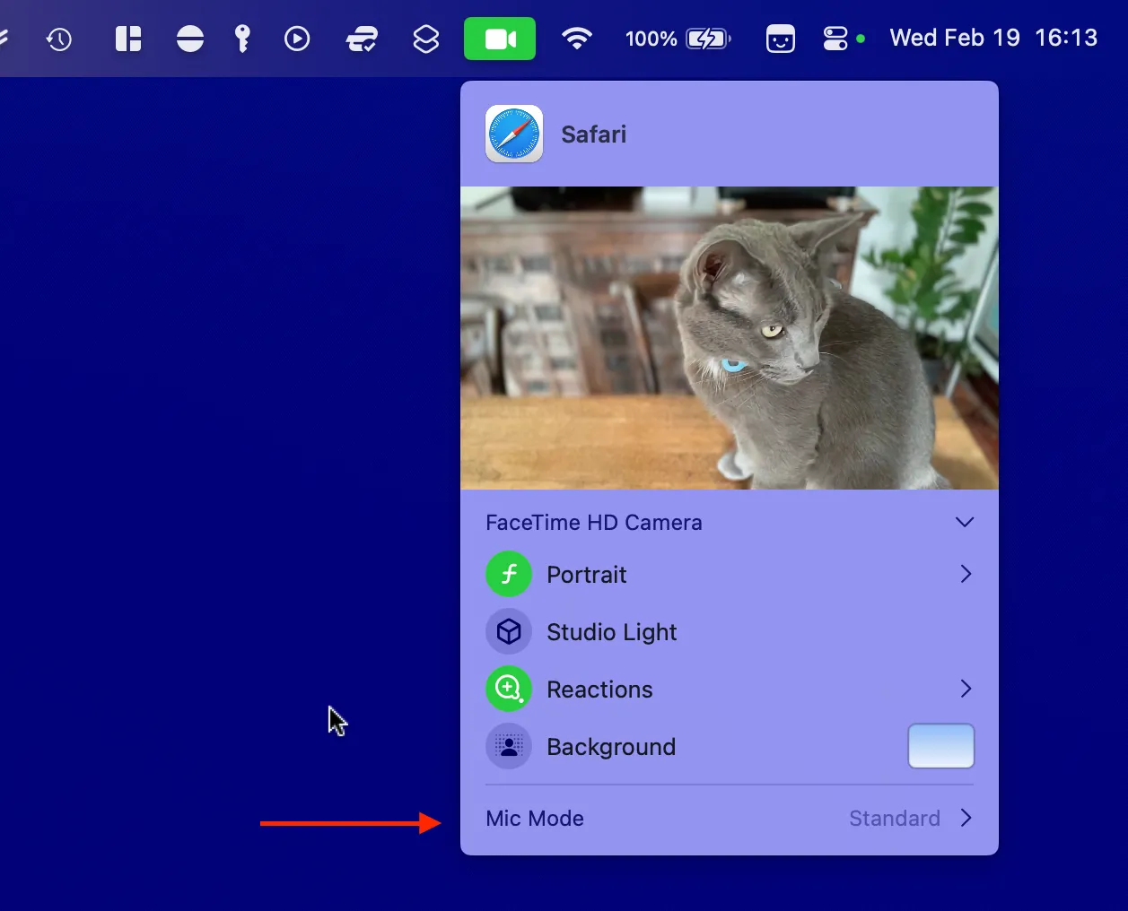 Người dùng mèo Roger đang gọi video bằng webcam với các cài đặt chế độ micrô được làm nổi bật