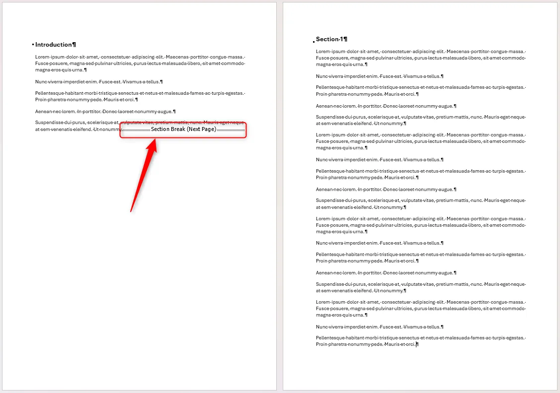Tài liệu Word với hai phần được phân tách bằng Next Page Section Break