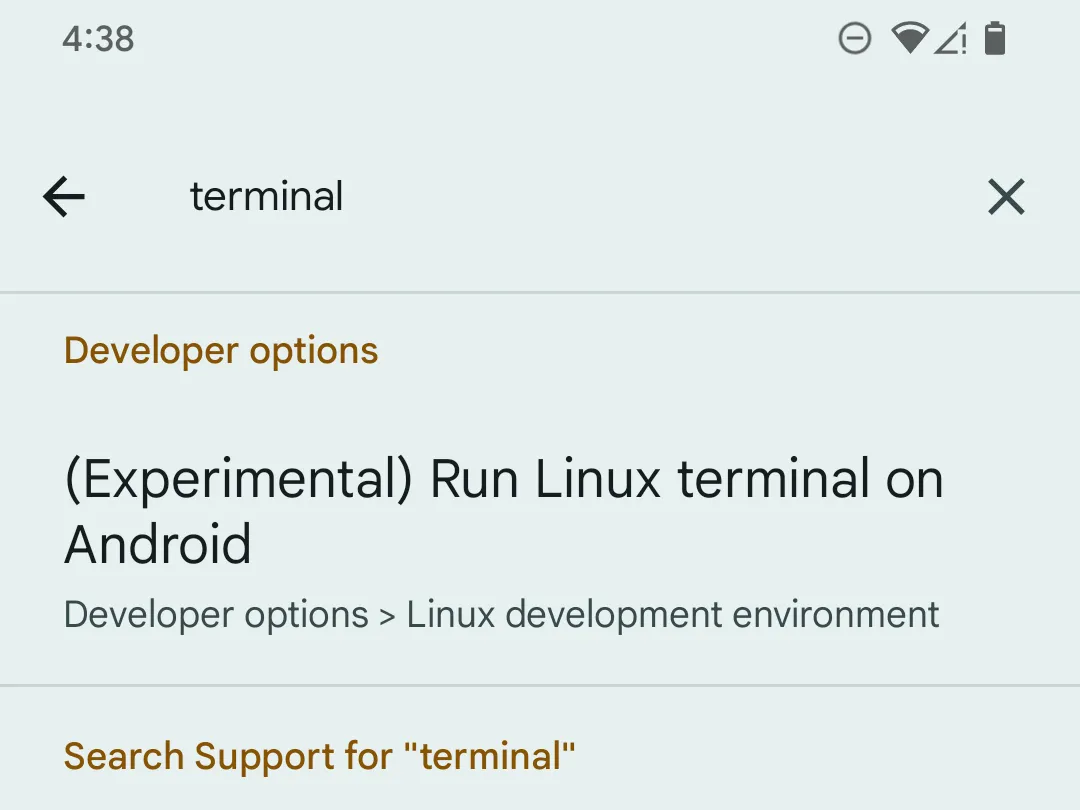 Tìm kiếm tùy chọn &quot;terminal&quot; trong cài đặt nhà phát triển Android trên điện thoại Pixel.