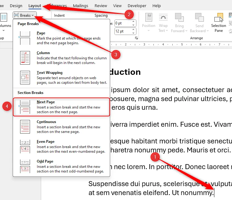 Tùy chọn Next Page Section Break trong menu Breaks của Microsoft Word