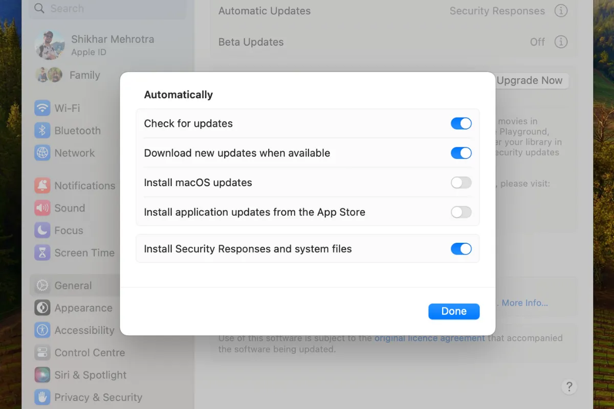 Tùy chọn tải và cài đặt cập nhật macOS tự động.