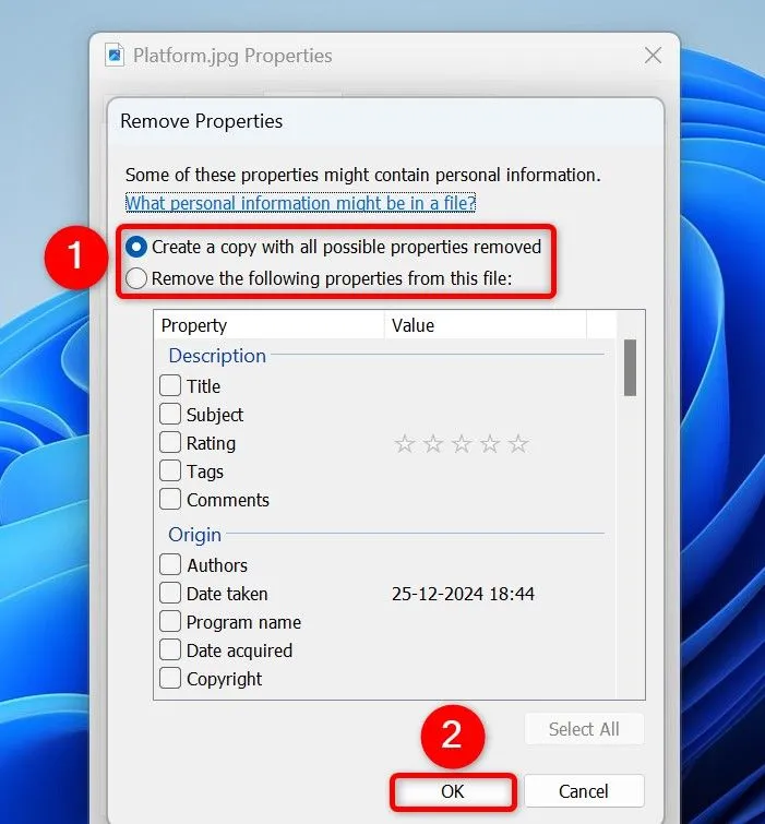 Tùy chọn xóa dữ liệu EXIF toàn bộ hoặc chọn lọc trong cửa sổ Remove Properties
