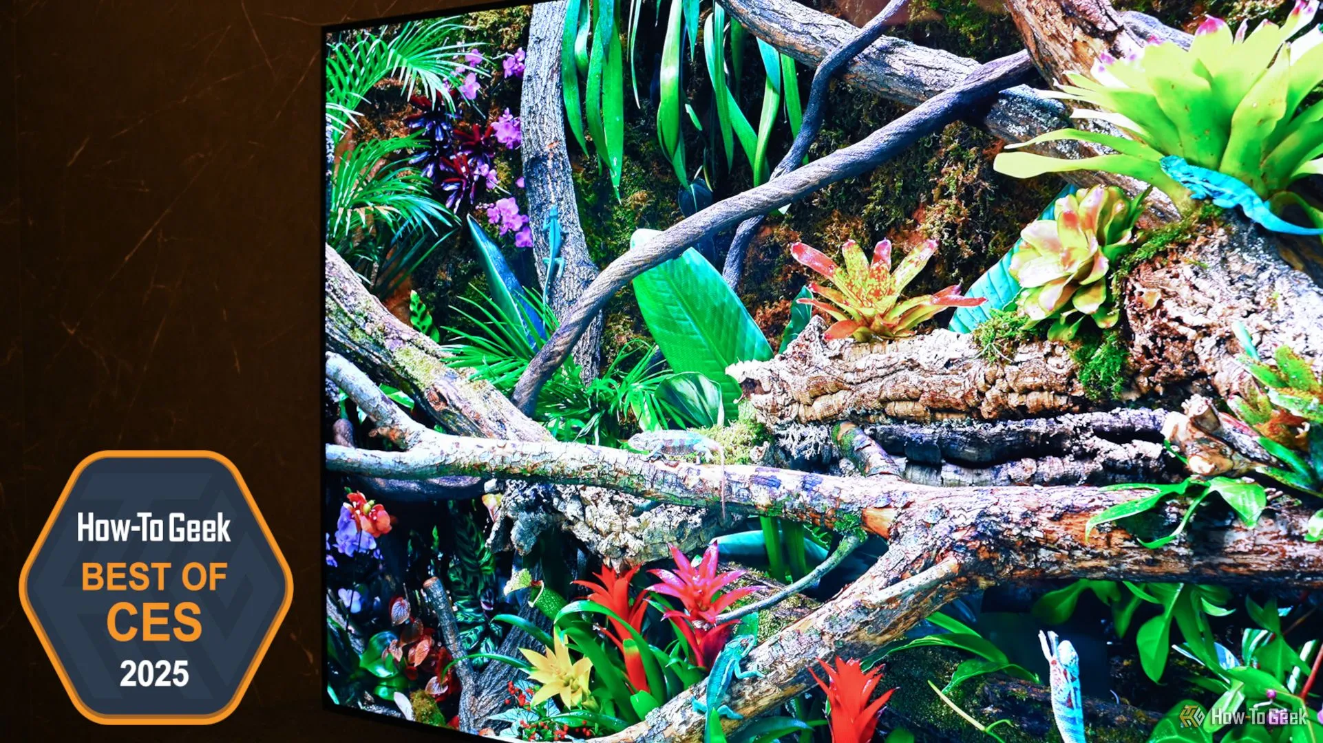 TV OLED Samsung S95F 4K độ sáng vượt trội và công nghệ AI tại CES 2025