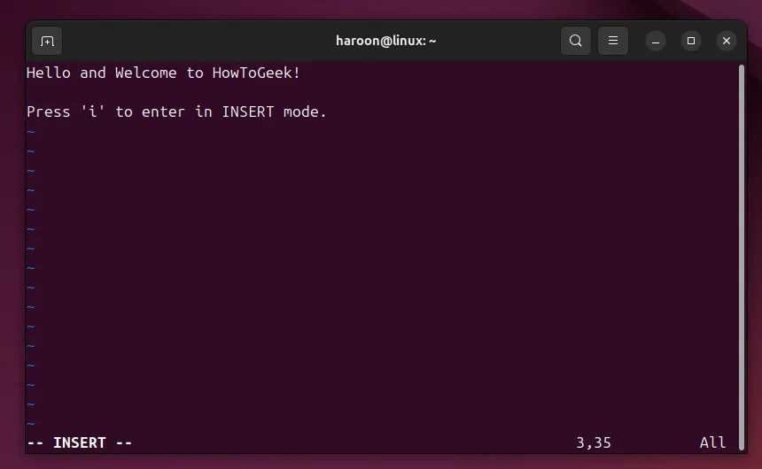 Giao diện trình soạn thảo Vim trong chế độ Insert, cho phép người dùng nhập và chỉnh sửa nội dung file trực tiếp từ Linux Terminal.