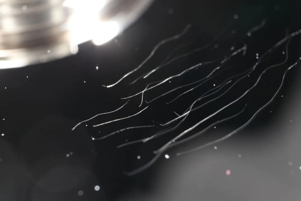 Bề mặt đĩa từ ổ cứng bị trầy xước nghiêm trọng