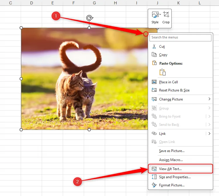 Menu chuột phải trong Excel với tùy chọn &quot;View Alt Text&quot; được chọn, hướng dẫn thêm mô tả hình ảnh để tối ưu khả năng tiếp cận.