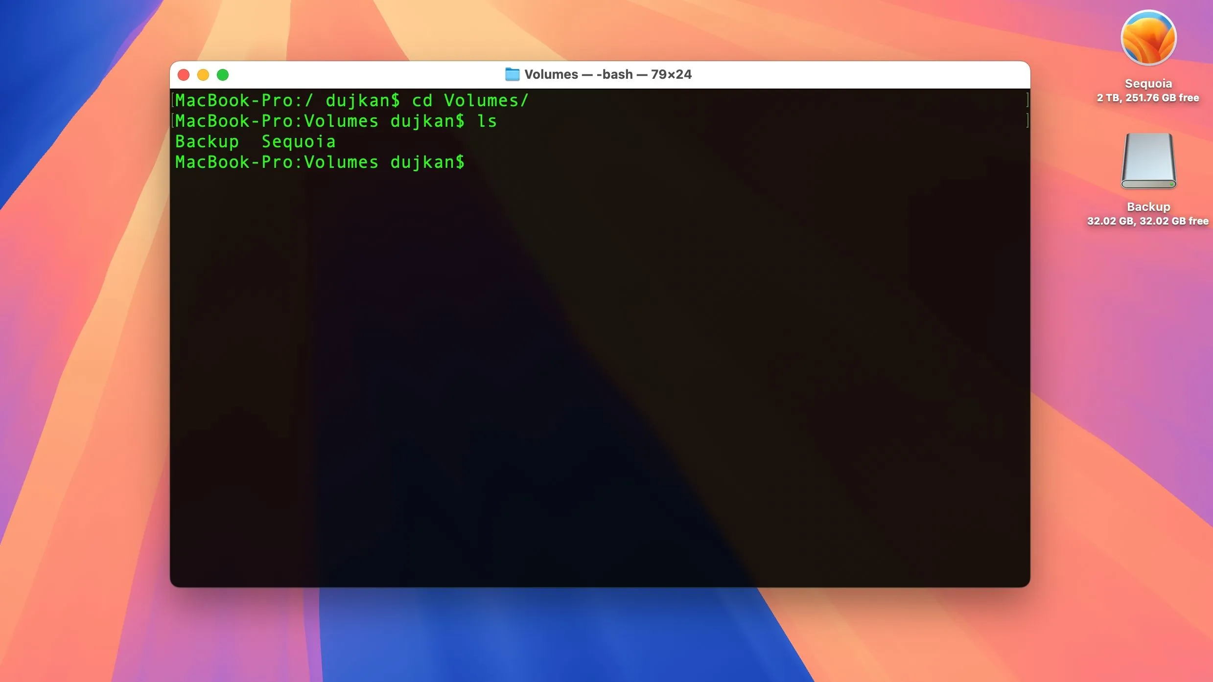 Terminal trên macOS hiển thị danh sách các volume đã gắn.