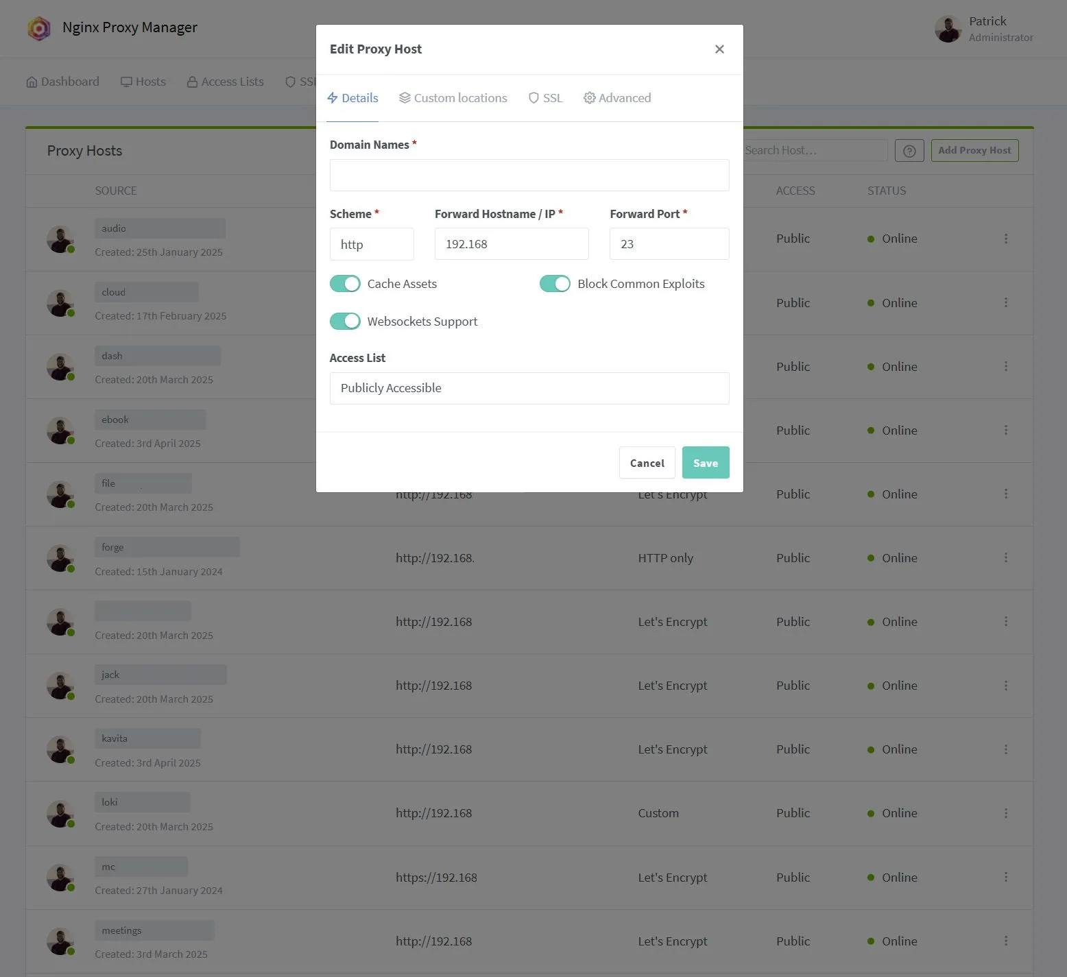Thiết lập host mới trong Nginx Proxy Manager với các tùy chọn định tuyến.